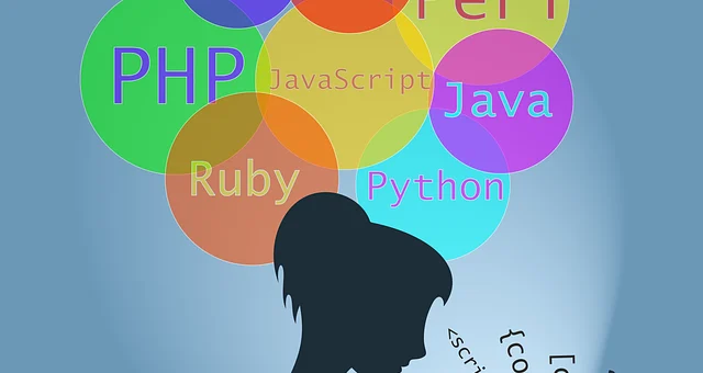 web development